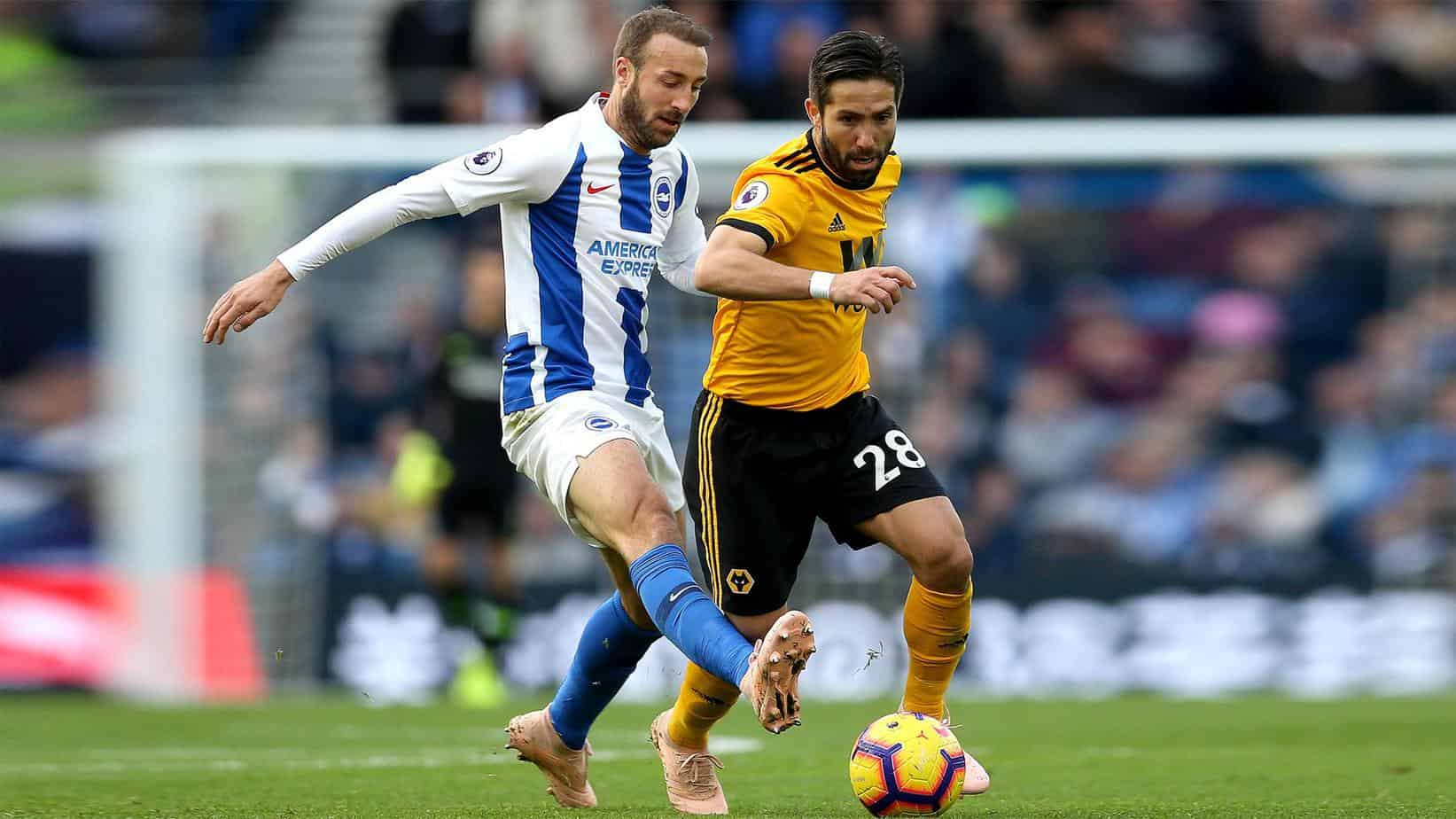 Wolves vs Brighton