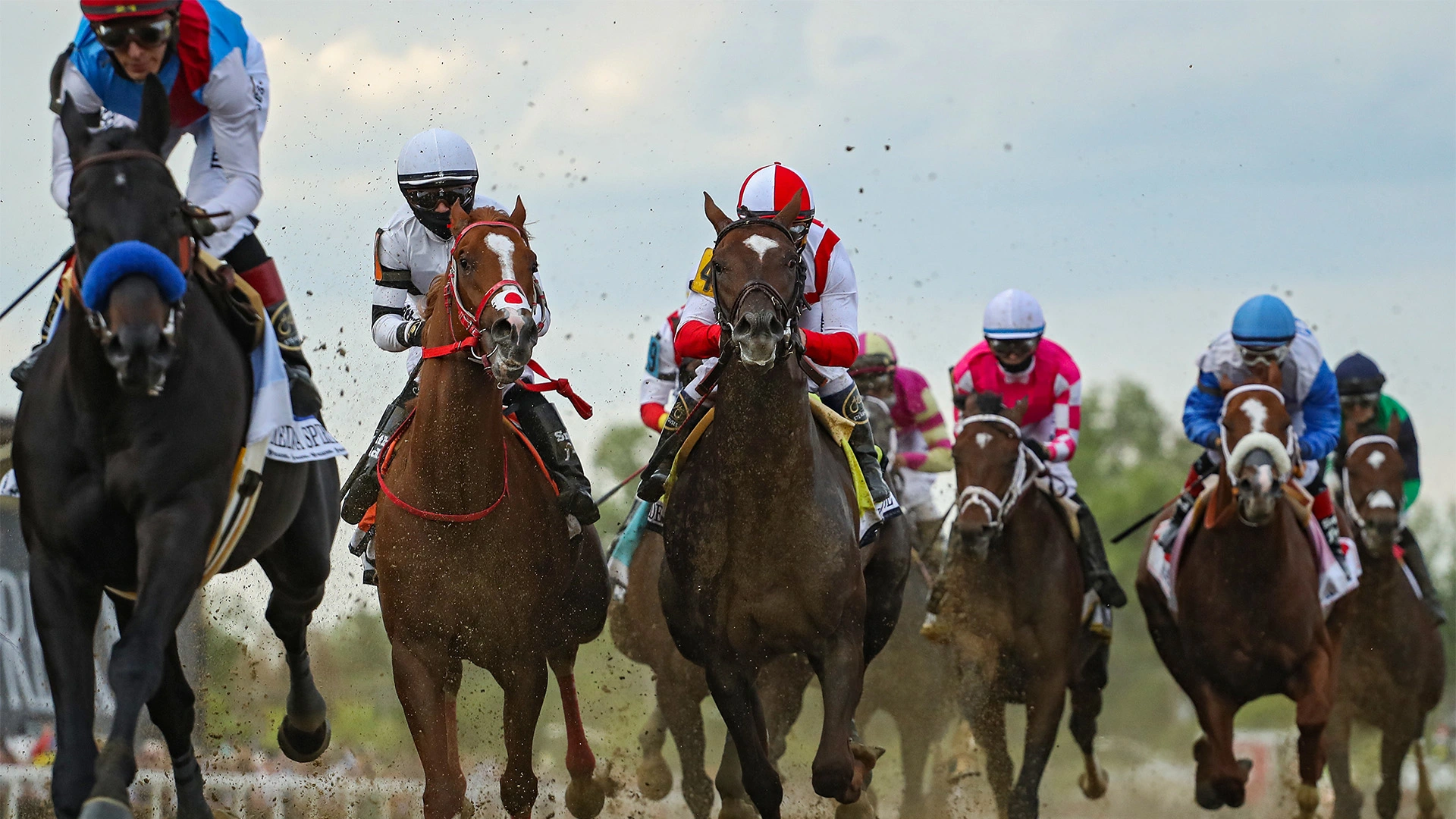 Horse Racing Betting, Lines and Odds - Gambyl