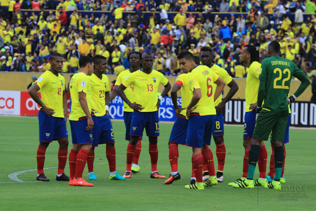 Probabilidades de aposta Equador x Jamaica e escolha grátis